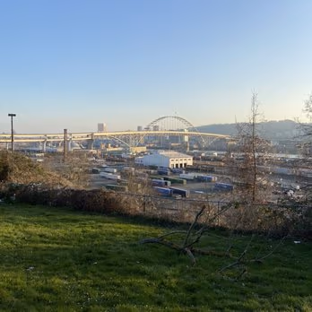 Overlook Park Off Leash Area photo 2